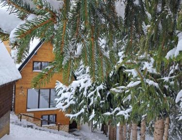 Two-Bedroom Chalet