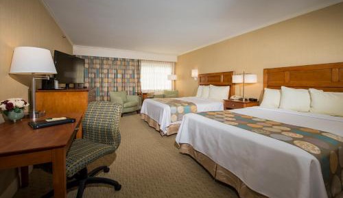 2 Queen Beds Premium Room