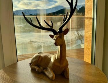 Suite with Mountain View