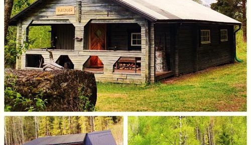 Bjorn - 4 Person 1 Bedroom Holiday Home