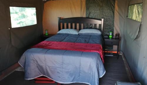 Tent