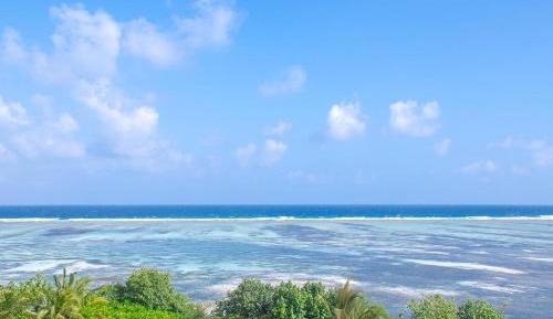 Standard Ocean View Room