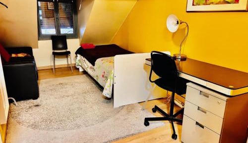 Standard Single Room