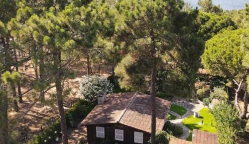 Standard Triple Room with Sea View