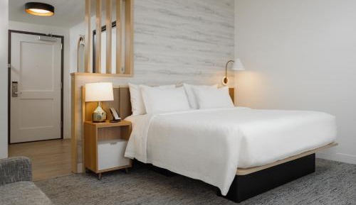 King Studio with Sofa Bed and Mountain View