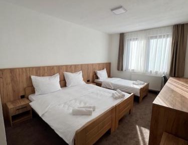 Triple Room with Mountain View