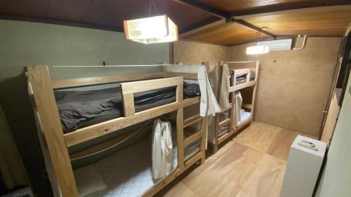 Bunk Bed in Mixed Dormitory Room