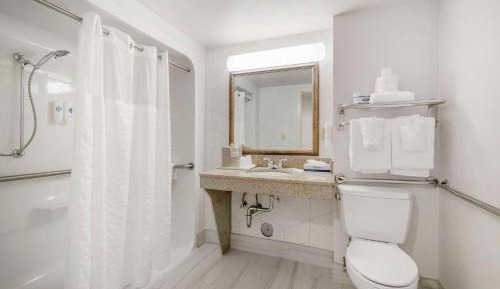 King Room with Roll-In Shower and Sofa Bed - Accessible/Non-Smoking