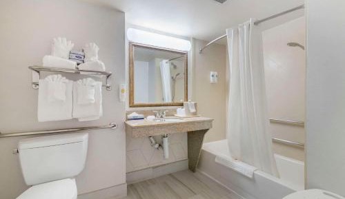 King Suite with Sofa Bed - Accessible/Non-Smoking