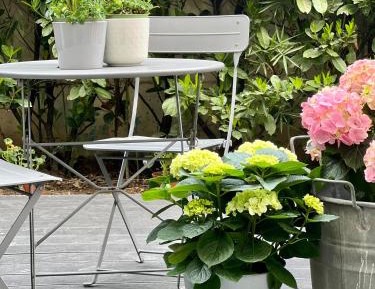 Double Room with Patio