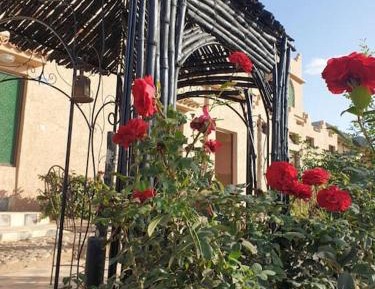 Apartment with Mountain View