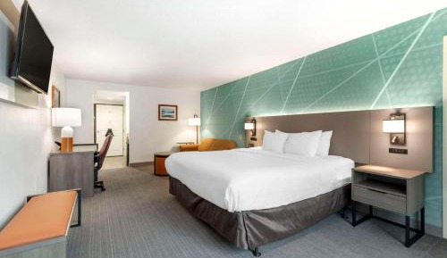King Room with Accessible Tub and Sofa Bed - Accessible/Non-Smoking