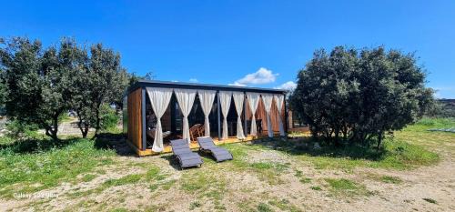 Mobile Home
