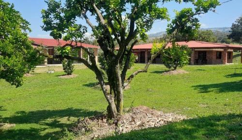Family Room with Garden View