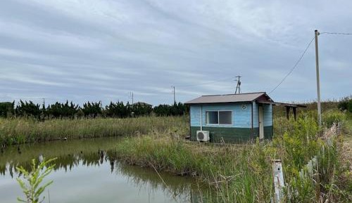 Bungalow