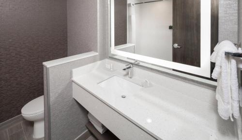 Suite, 1 King, Sofa bed