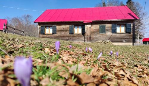 One-Bedroom Chalet