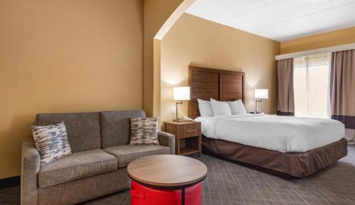 Standard Room, 1 King Bed, Non-Smoking, Accessible