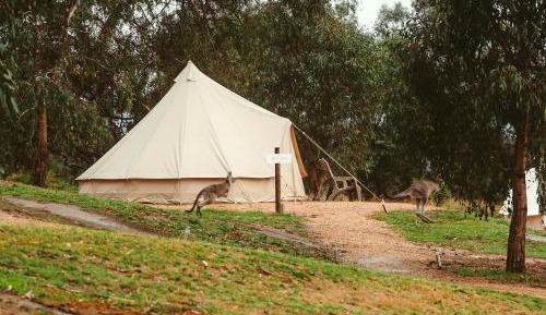 Tent