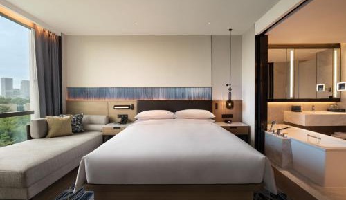 Ecological King Room with City View