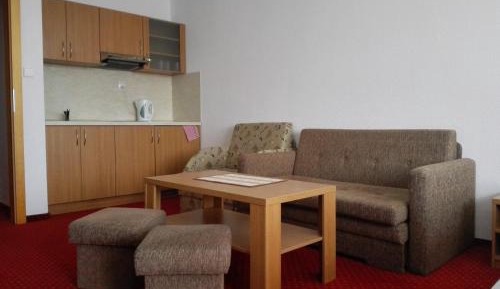 Economy Studio with Kitchenette