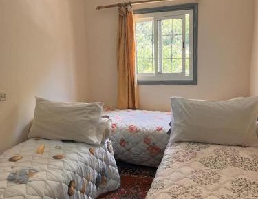 Budget Twin Room