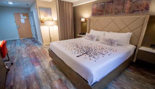 King Room with King Bed