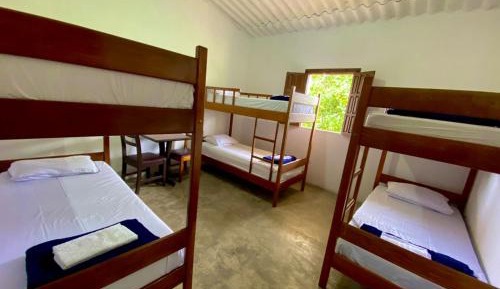 6-Bed Mixed Dormitory Room