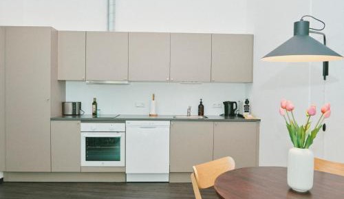 1BR XL apartment