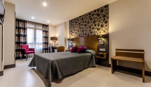 Double or Twin Room for Single Use