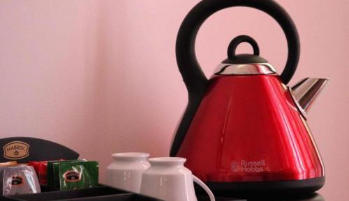 Ayurveda Standard Single Room