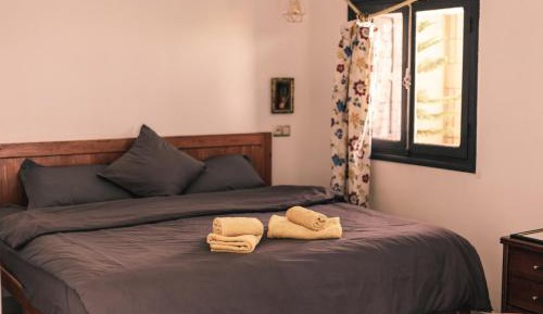 Deluxe Double or Twin Room with Balcony