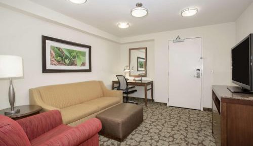 One-Bedroom King Suite