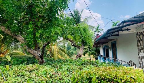 Deluxe Double Room (2 Adults + 1 Child)