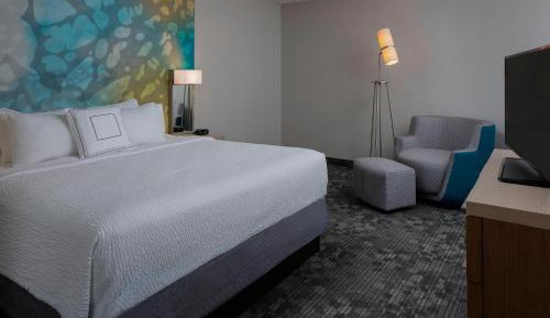 King Suite, 1 Bedroom Suite, 1 King, Sofa bed
