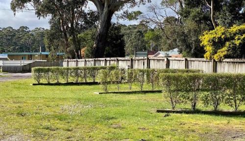 Large Grass Powered Site - No Bed Provided