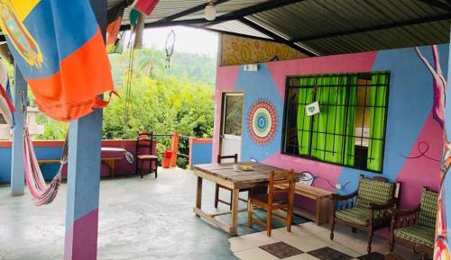 Single Bed in 6-Bed Dormitory Room