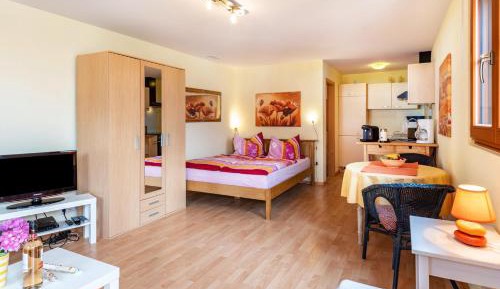 Superior One-Bedroom Apartment