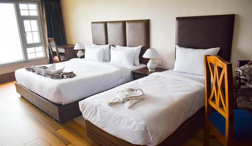 Superior Deluxe Double or Twin Room 