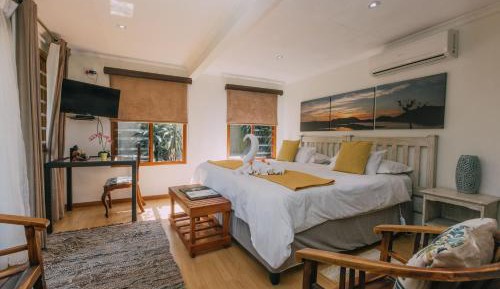 Twin/Double Room