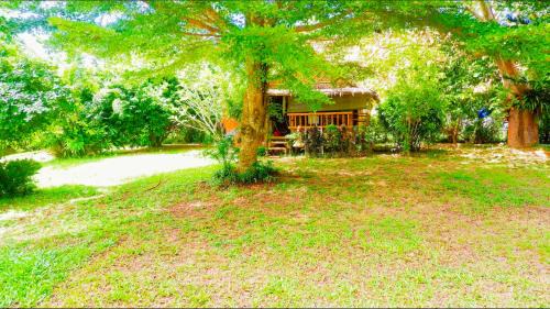 Bamboo Double Cabin with Private Bathroom