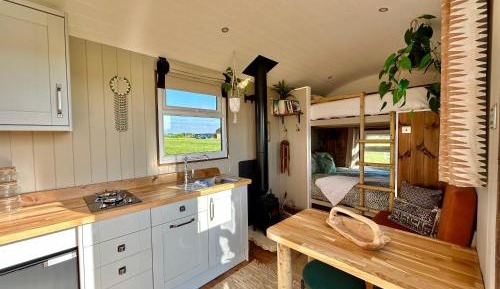 Mobile Home