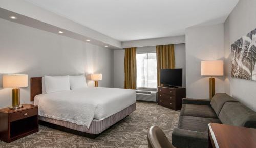 King Suite with Sofa Bed