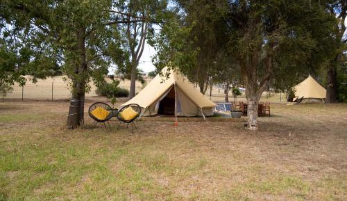 Tent