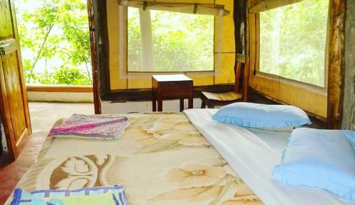 Family Bungalow