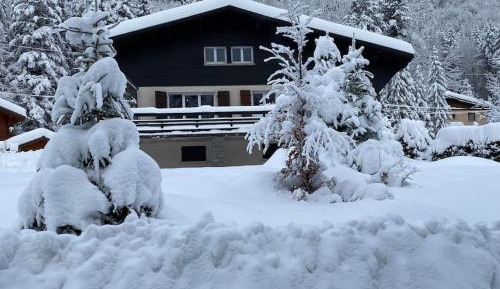 Three-Bedroom Chalet