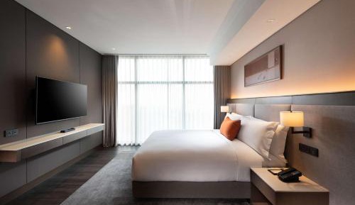 Deluxe One-Bedroom King Suite