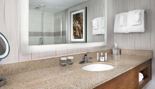 King Room with Tub - Mobility and Hearing Access