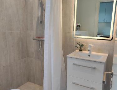 Apartment with Shower