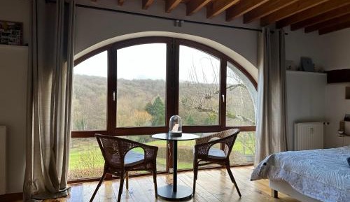 King Room with Garden View